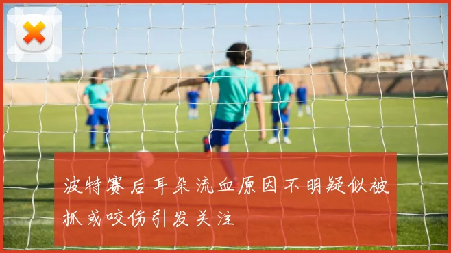 波特赛后耳朵流血原因不明疑似被抓或咬伤引发关注