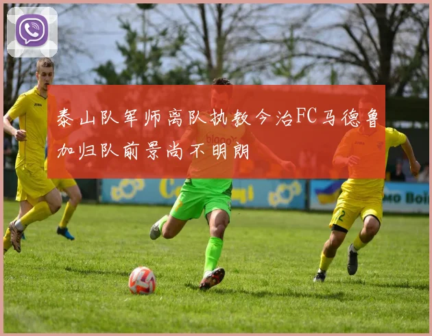 泰山队军师离队执教今治FC马德鲁加归队前景尚不明朗