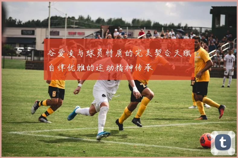 谷爱凌与球员特质的完美契合天赋自律优雅的运动精神传承
